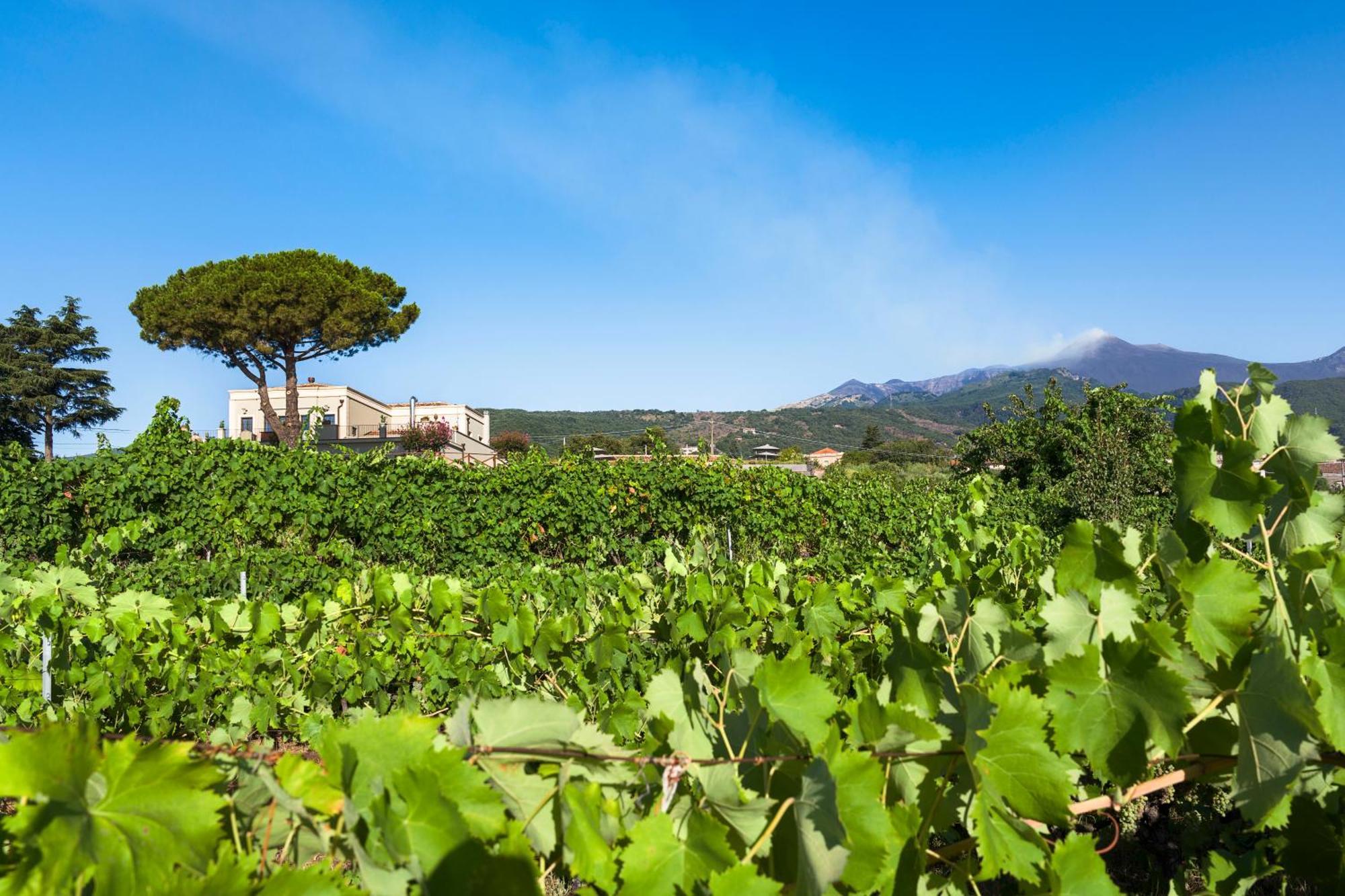 Locanda Quinto Arco Zafferana Etnea Esterno foto