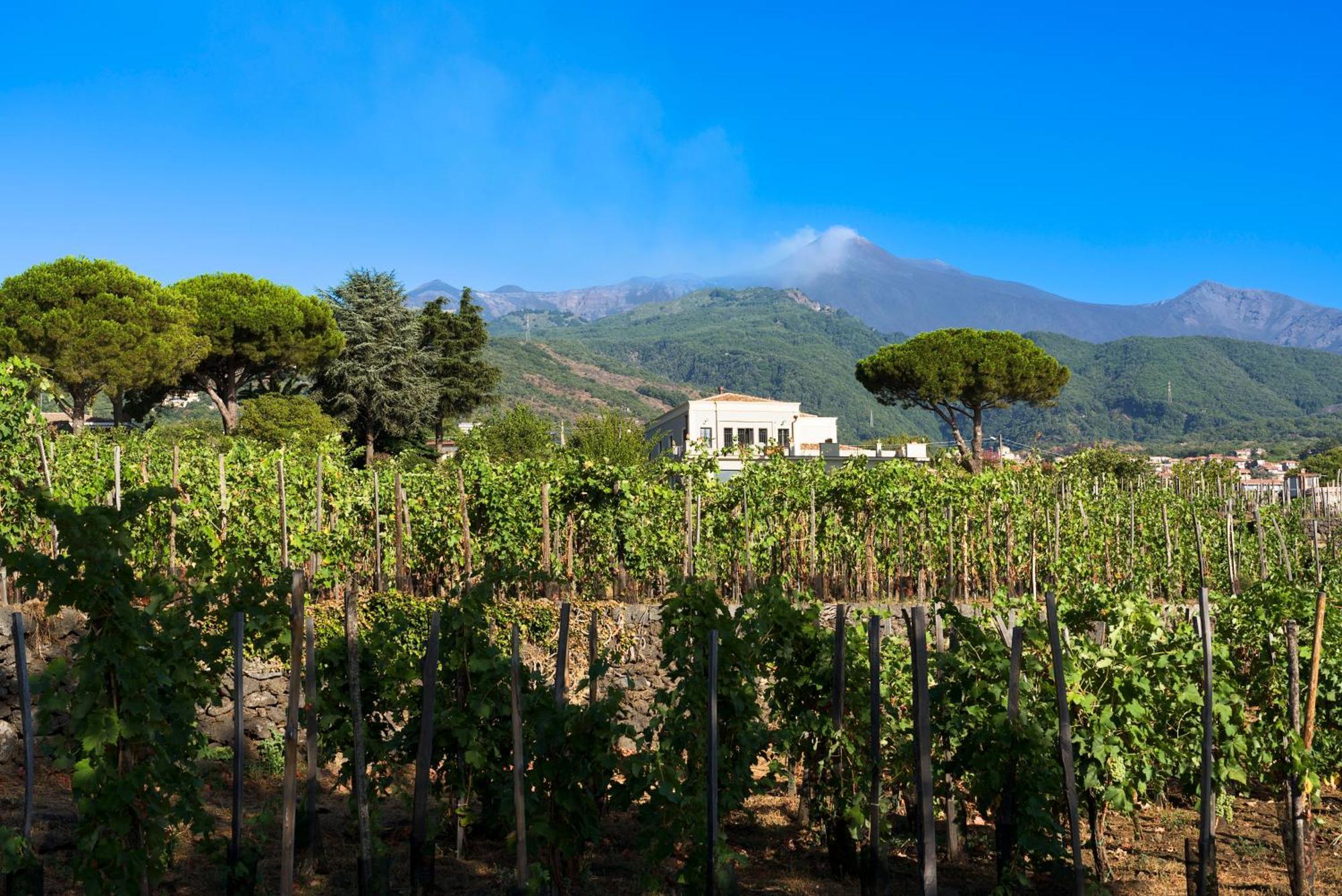 Locanda Quinto Arco Zafferana Etnea Esterno foto